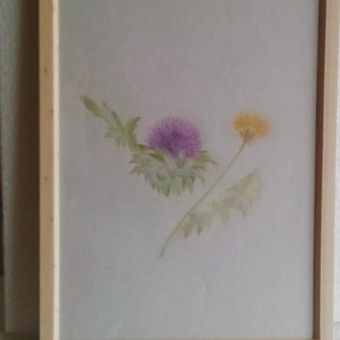 原画・草花のぬくもり