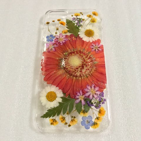 ✨ガーベラと小花たち✨押し花 iPhone７.８ ケース