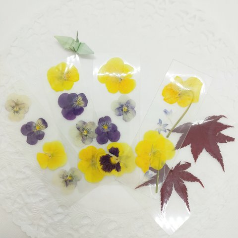 【送料込み】押し花のしおり③