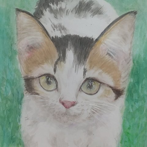 セール 猫の絵 原画 水彩画