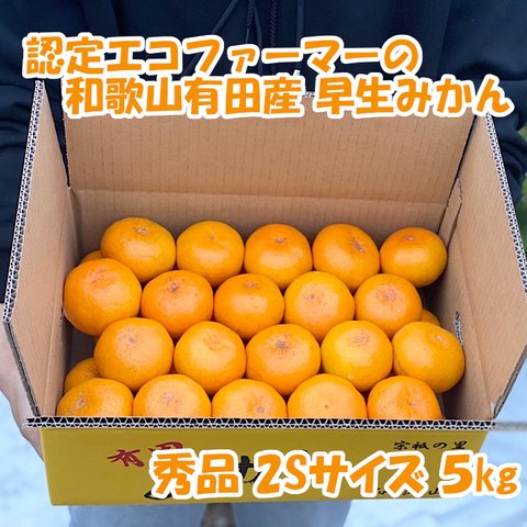 【秀品・２Ｓサイズ】和歌山有田産！早生みかん≪5㎏≫★11月下旬～順次発送