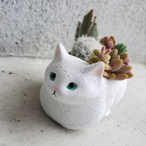 再販🆕大人気！しろねこちゃんの寄せ植え♡(鉢底に肉球あり🐾)  多肉植物orサボテンの寄せ植え