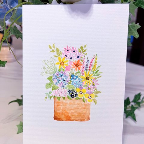 水彩画　絵画　原画『初夏の花々』