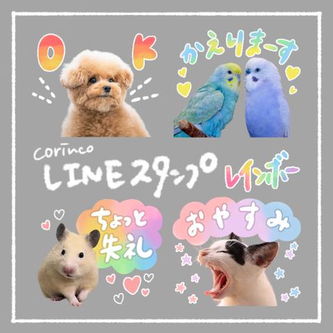 オリジナルLINEスタンプ｜64種類から選べる｜水彩レインボー｜ペット｜犬｜猫｜corinco