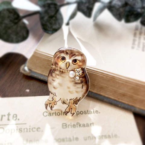 Little owl brooch｜コキンメフクロウブローチ〔動物シリーズ〕 