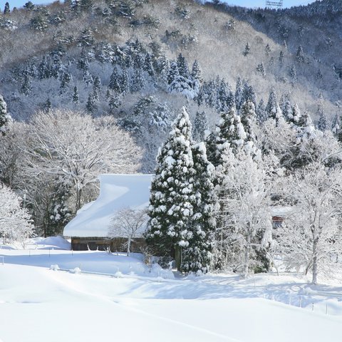 豪雪の里