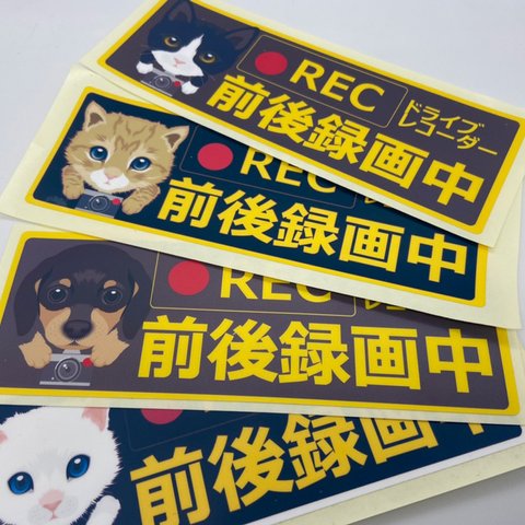 ドライブレコーダーオリジナルステッカー　マグネット、吸盤　犬、猫、赤ちゃん　イラスト選択　UV耐水加工