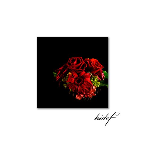 【送料無料】黒い背景の黒花瓶に赤い薔薇no加工（sq2307005）