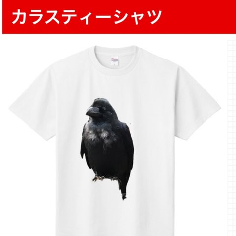 カラスＴシャツ