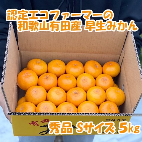 【秀品・Ｓサイズ】和歌山有田産！早生みかん≪5㎏≫★11月下旬～順次発送