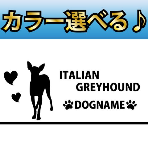 犬 ステッカー イタリアン グレイハウンド 指定出来る名前　Ｃ横型