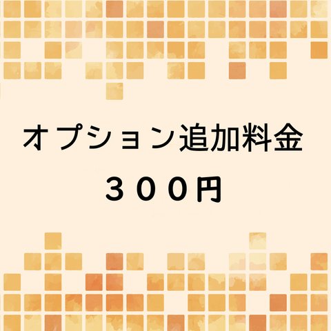 オプション追加３００円