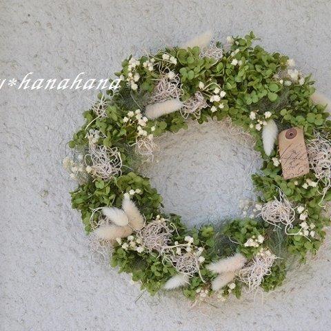 アナベルとかすみ草wreath