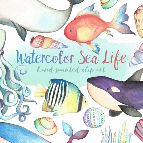  イラスト素材・Sea Life デジタルコンテンツ 