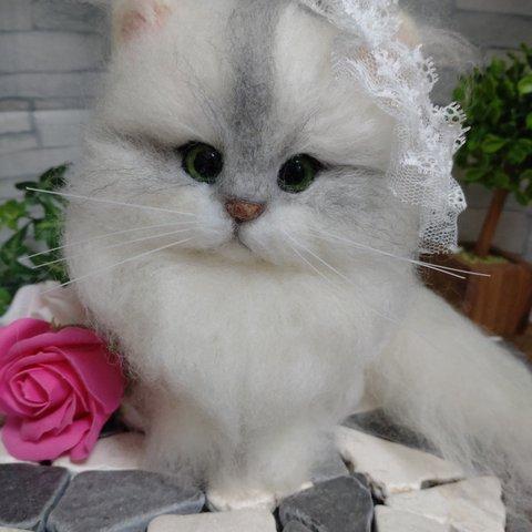 チンチラシルバーちゃん😺🌹