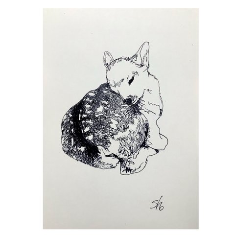 原画　ボールペン画　ドローイング　仔鹿　動物　インテリア　イラスト　絵画