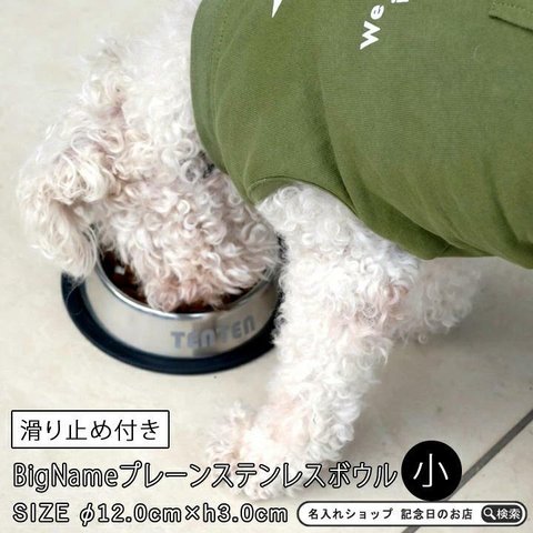 【送料無料】 BigName プレーン ステンレス フードボウル 小 滑り止め付き pet100