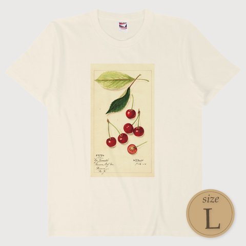 L〔T4452〕さくらんぼ／チェリー／Cherry【USDA Watercolor Collection】水彩画／手描き／ナチュラル／果物／S M L XL Tシャツ
