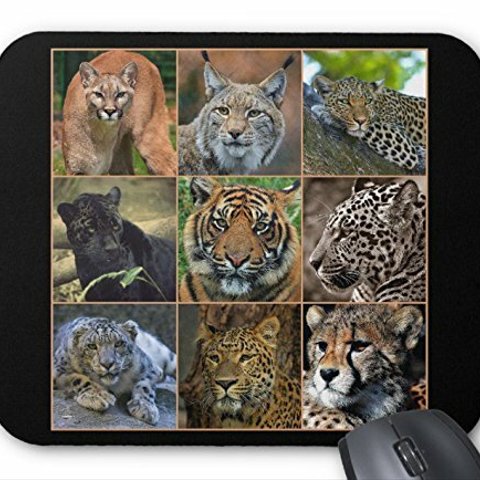 大型猫科動物たちのマウスパッド：フォトパッド（ 世界の野生動物シリーズ ） (A)