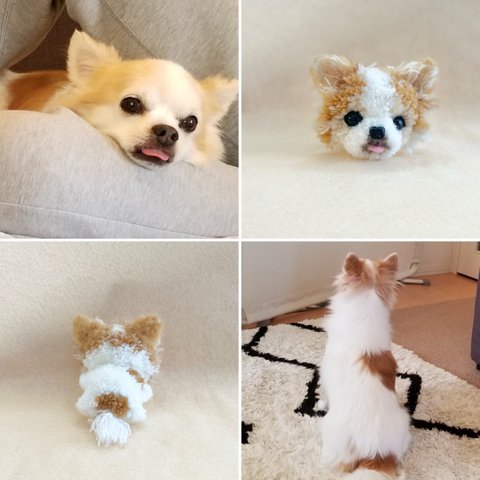 うちの子ぽんぽん（ペシャンコタイプ）　　　　　　　　　　　　　　　　　犬　猫