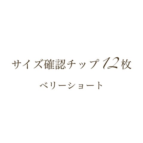 【匿名配送】ネイルチップ＊サイズ確認チップ＊12枚セット