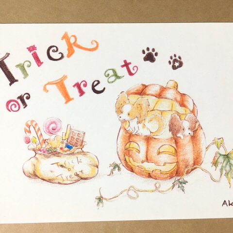 Trick or treat! パピヨン