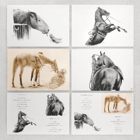 馬の絵 ポストカードＧ　4枚セット＋絵詞カード