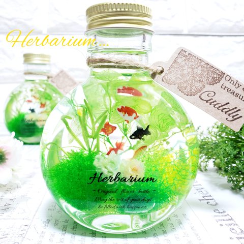 ꫛꫀꪝ✧‧˚*:.｡.Herbarium｡.:*　ハーバリウム