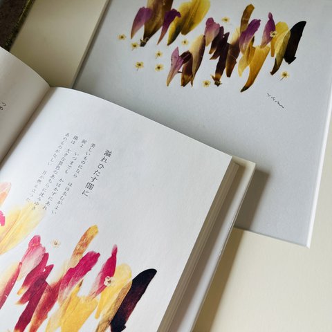 押し花　額　立原道造詩　挿絵「溢れひたす闇に」　花と言葉の詩画集（ポプラ社刊）　