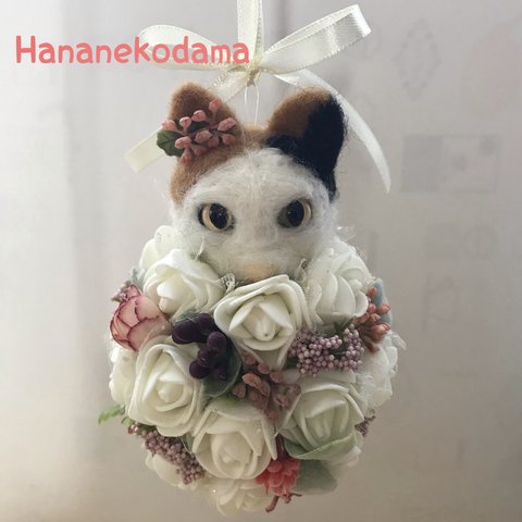 HanaNekodama✳︎花ねこ球