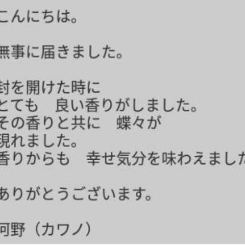 大社百年咲く幸せ黄色い花白蛇皮お守り