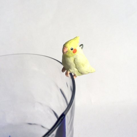 コップが止まり木<オカメインコ>