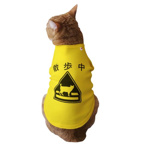 猫の標識Tシャツ〜LLサイズ