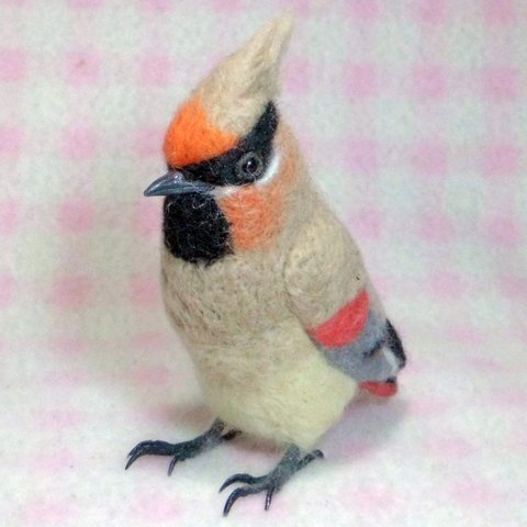 miniリアル♪ ヒレンジャク 朱連雀  Japanese Waxwing  野鳥  羊毛フェルト 羊毛ぬいぐるみ 鳥のオブジェ リアルバード 受注制作   工房小鳥屋さん