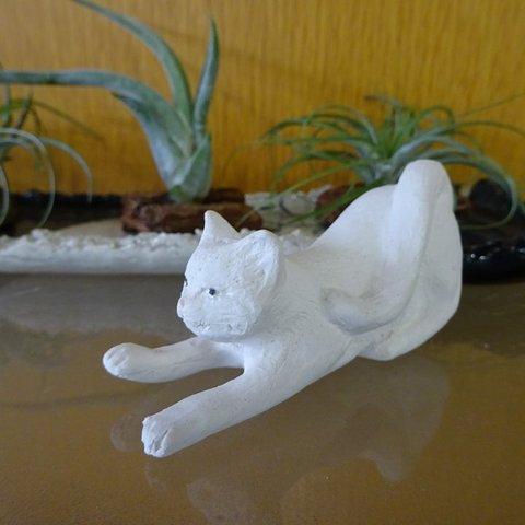 白猫（ミニA）