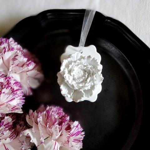 白い博物館 ■ アロマストーン ■ 植物標本　ラナンキュラス フリル咲き