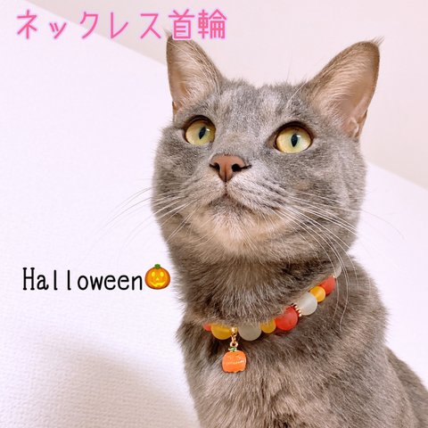 猫の首輪🐈ハロウィン🍭ビーズ♡ネックレス首輪✨オレンジ×イエローカラー🌟小さめカボチャのチャーム🎃