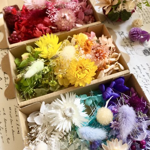 トロピカル8カラーお花盛り🌼花材詰め合わせ3箱セット