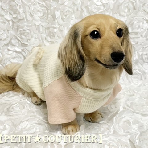 【送料無料】　No.4175　ウール混ニットのセーター　＜小型犬・ダックス用＞