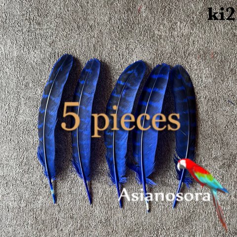 【ki2 青】5枚キジ 鳥の羽根 フェザー 素材 パーツ