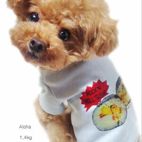 Junk food T-shirts(dog4S~Sブルー)