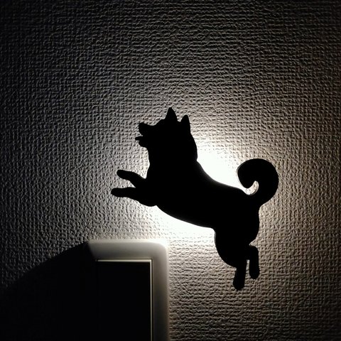 ウォールライト - 柴犬 ジャンプ