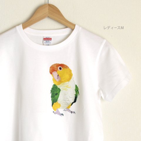 p-jet　シロハラインコ Tシャツ　 / 鳥　インコ　シロハラインコ 