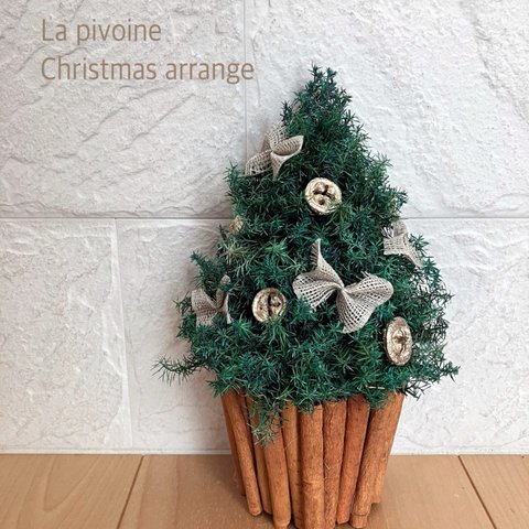  【ギフトラッピング無料】壁掛けのクリスマスツリー/プリザーブドフラワー