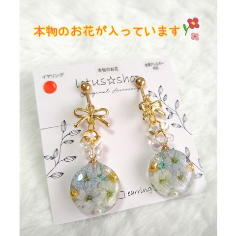 ピアス　イヤリング　レジン　本物のお花　No.002