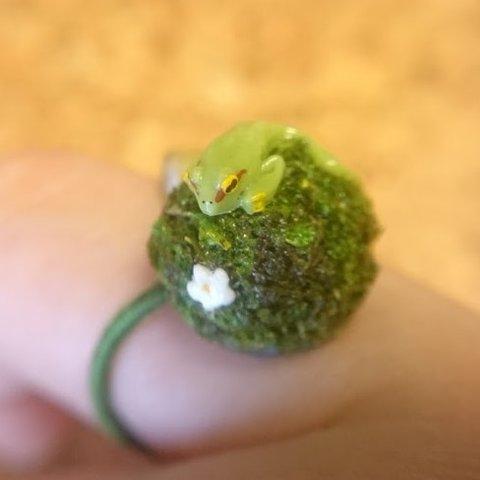 苔玉風カエルリング