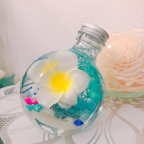 プルメリア×シェル♡水色南国ハーバリウム♡ メッセージ名入れ可能♡プレゼントギフトにも♡