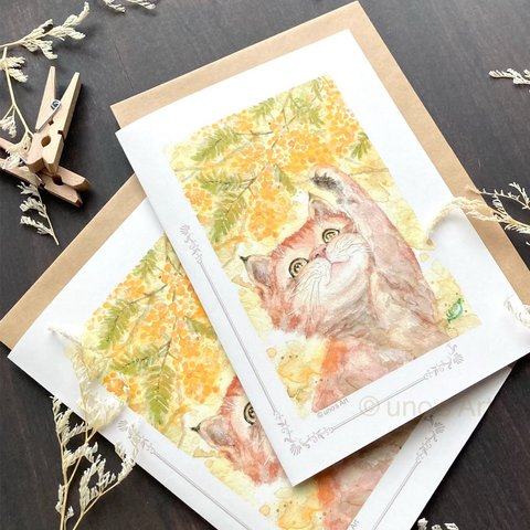 透明水彩画  『ミモザと春を纏う猫』  2セット分 二つ折りカード グリーティングカード 封筒 中紙付き 