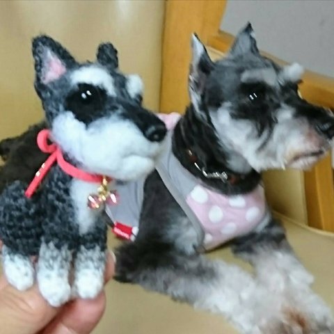 そっくりわんこ🐶　犬あみぐるみ