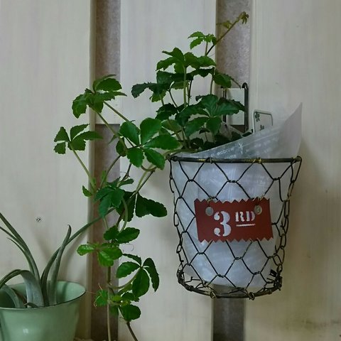 Garden hanging pot *リメカン付き❗️